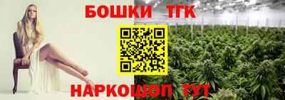 твердый Гатчина